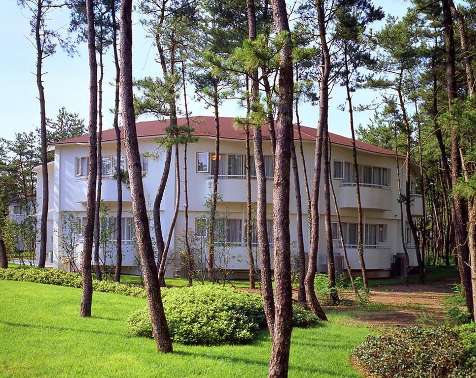 Cottage Himuka Mijazaki Pokoj fotografie