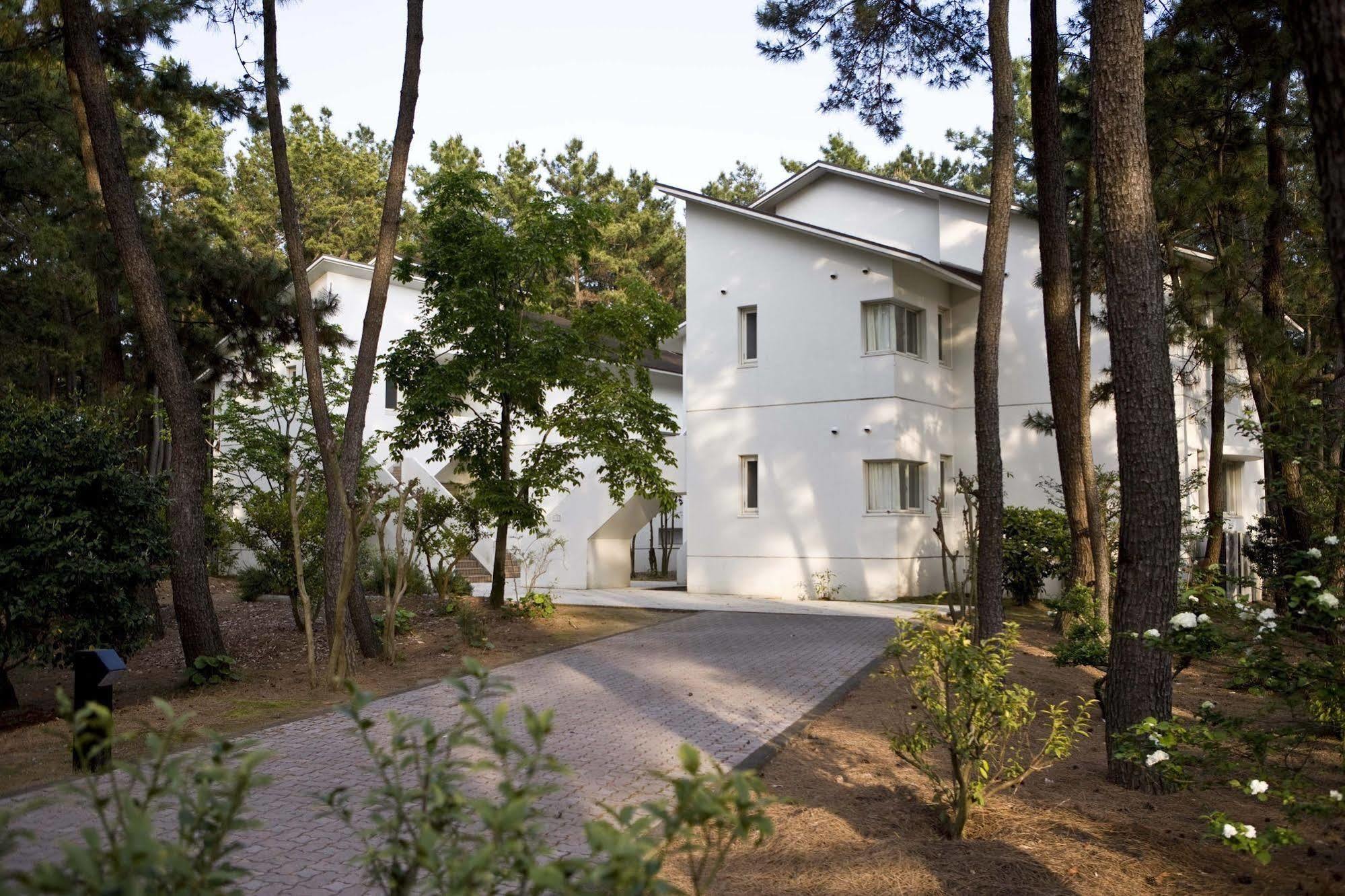 Cottage Himuka Mijazaki Exteriér fotografie
